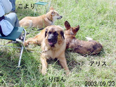 ../photo/2003/09/23/0030.jpg
