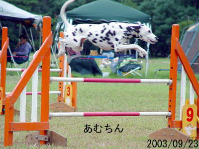 ../photo/2003/09/23/0133.jpg